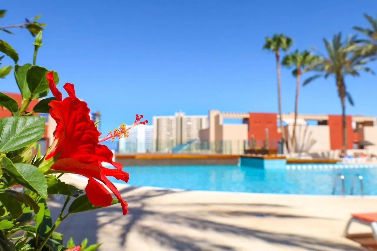 Gorgeous Paraiso Free Wifi Playa Paraiso  0*, Playa Paraiso (Tenerife)